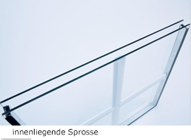 glasteilende-sprosse